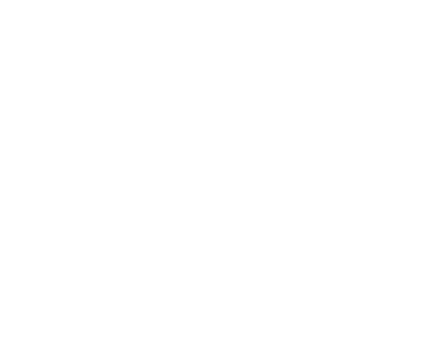 vitrine-securisee