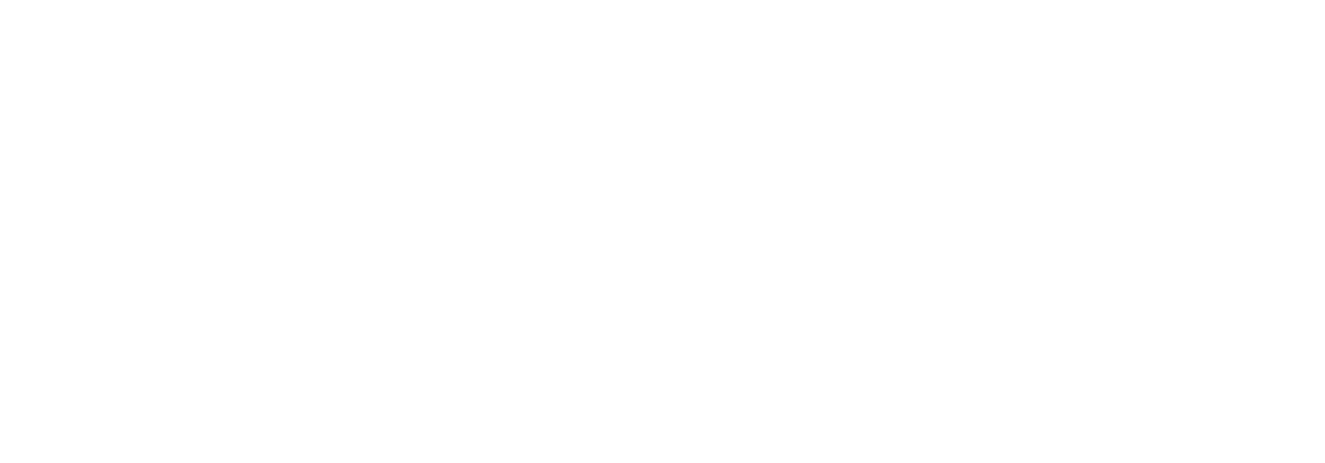 emic-v2